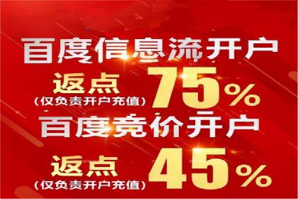 渠道营销新趋势：返点政策下的成功实践